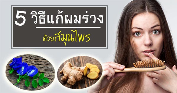 วิธีแก้ผมร่วงด้วยสมุนไพร วิธีแก้ผมร่วงด้วยสมุนไพร