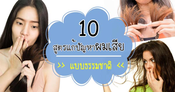 แก้ปัญหาผมเสีย แก้ปัญหาผมเสีย