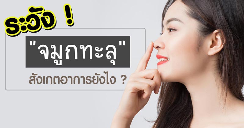 จมูกทะลุ จมูกทะลุ