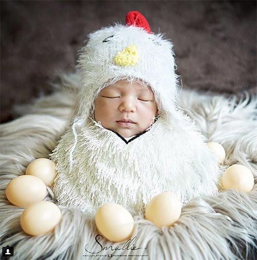 ลูกดารา ลูกดารา