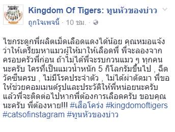 เสือโคร่ง ทูนหัวของบ่าว เสือโคร่ง ทูนหัวของบ่าว
