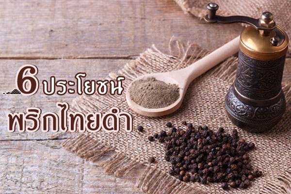 ประโยชน์ของพริกไทยดำ ประโยชน์ของพริกไทยดำ