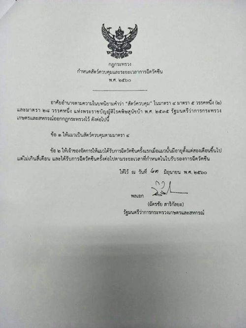 แมว เป็นสัตว์ควบคุม แมว เป็นสัตว์ควบคุม