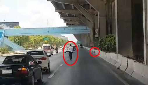 ช่วยสุนัขตาบอดหลงทาง ช่วยสุนัขตาบอดหลงทาง