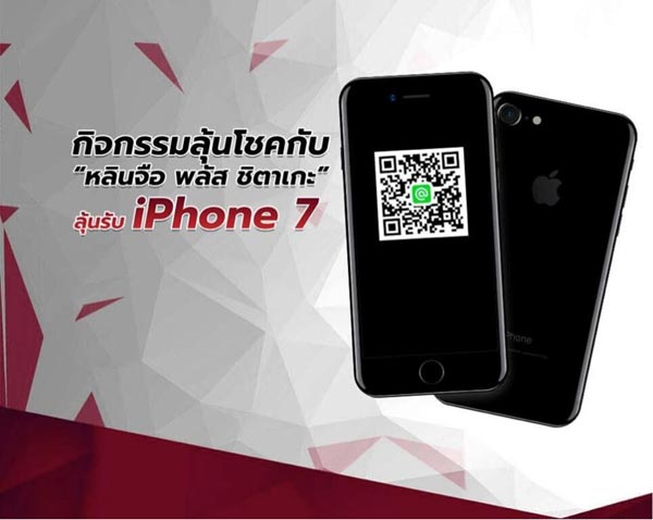 เห็ดหลินจือ เห็ดหลินจือ