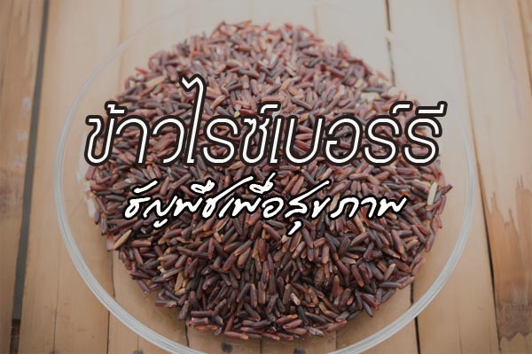 ข้าวไรซ์เบอร์รี ข้าวไรซ์เบอร์รี