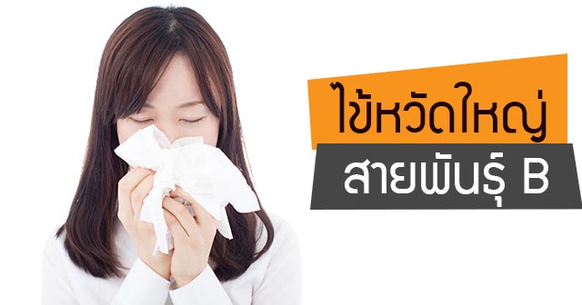 ไข้หวัดใหญ่สายพันธุ์บี ไข้หวัดใหญ่สายพันธุ์บี