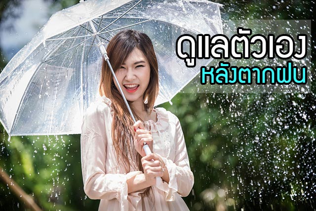 ฝนตก ฝนตก