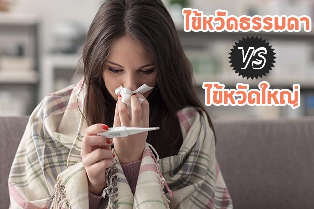 ไข้หวัดใหญ่ ไข้หวัดใหญ่