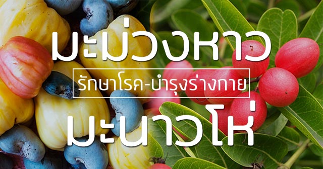 มะม่วงหาวมะนาวโห่ มะม่วงหาวมะนาวโห่