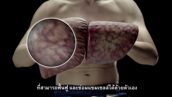 พักตับ พักตับ