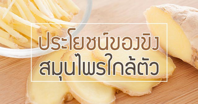 ขิง ขิง