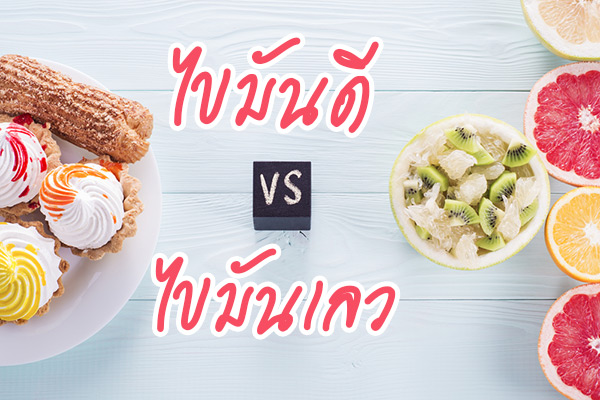 ไขมันดี ไขมันดี