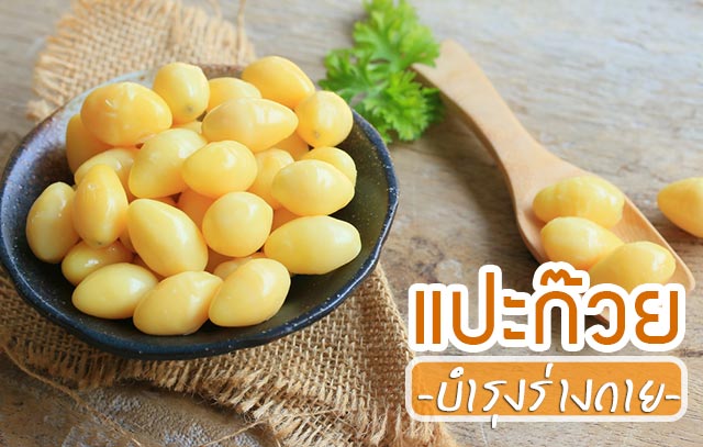 แปะก๊วย แปะก๊วย