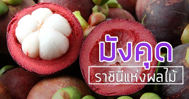 มังคุด มังคุด