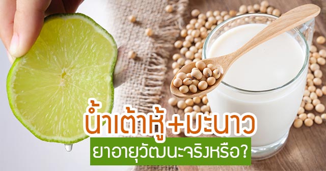 น้ำเต้าหู้มะนาว น้ำเต้าหู้มะนาว