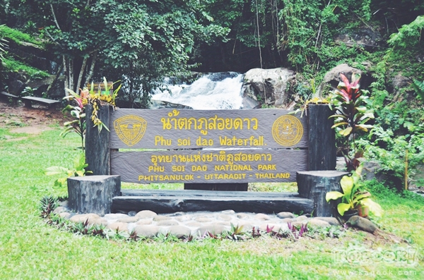 ภูสอยดาว ภูสอยดาว