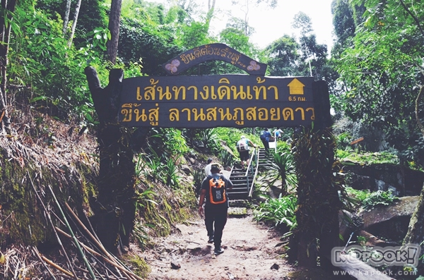 ภูสอยดาว ภูสอยดาว