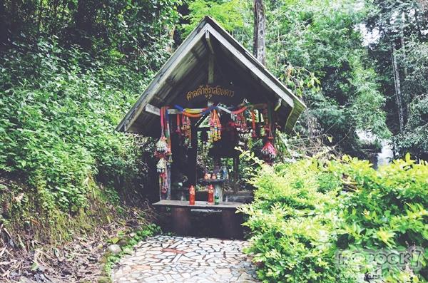 ภูสอยดาว ภูสอยดาว