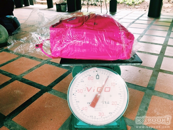 ภูสอยดาว ภูสอยดาว