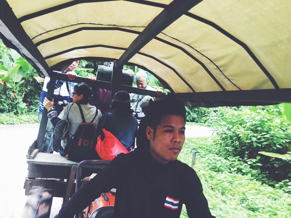 ภูสอยดาว ภูสอยดาว