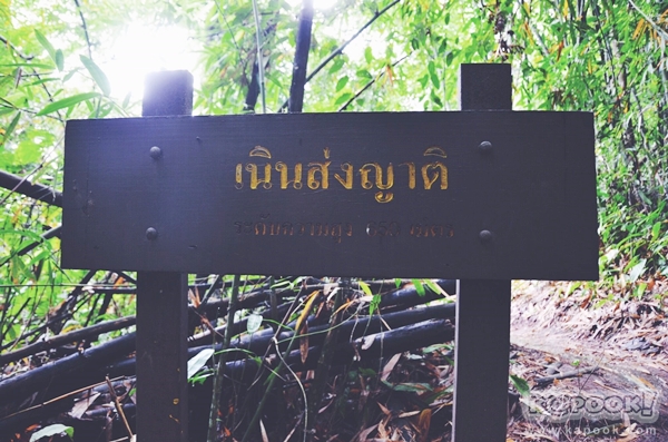 ภูสอยดาว ภูสอยดาว