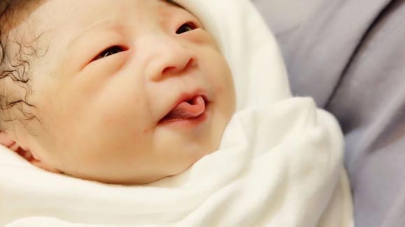 วันเกิด น้องเป่าเปา วันเกิด น้องเป่าเปา