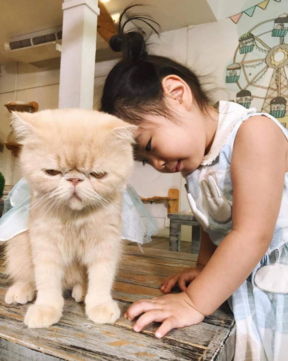 น้องชูใจ ลูกกอล์ฟ ฟักกลิ้ง ฮีโร่ น้องชูใจ ลูกกอล์ฟ ฟักกลิ้ง ฮีโร่