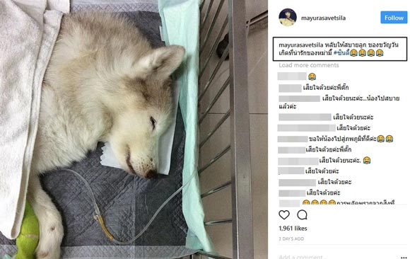 ตั๊ก มยุรา ตั๊ก มยุรา