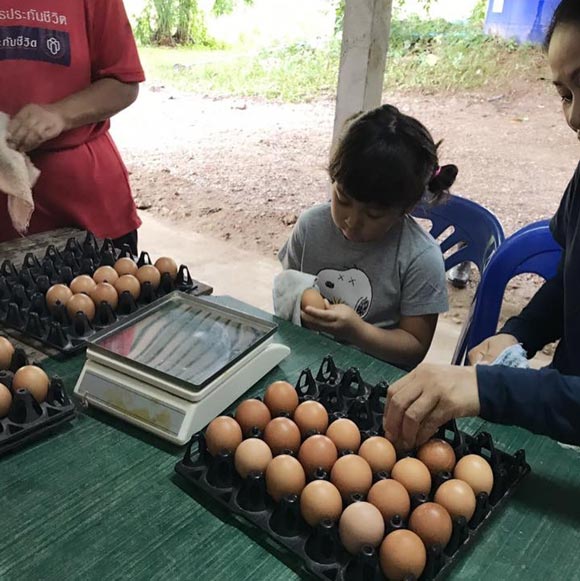 แหม่ม คัทลียา แหม่ม คัทลียา