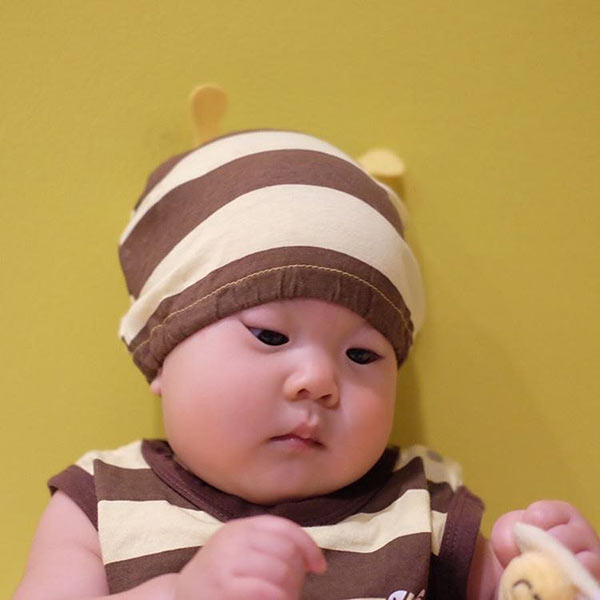 น้องเป่าเปา น้องเป่าเปา