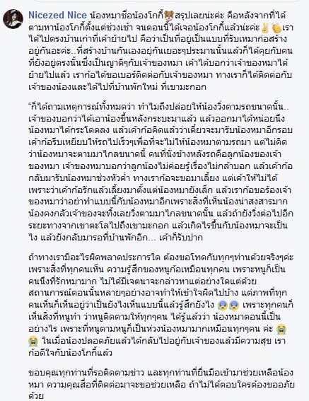 สุนัขถูกทิ้ง สุนัขถูกทิ้ง