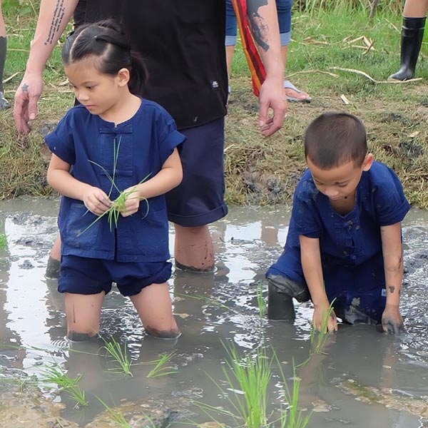 บีน่า บรู๊คลิน บีน่า บรู๊คลิน