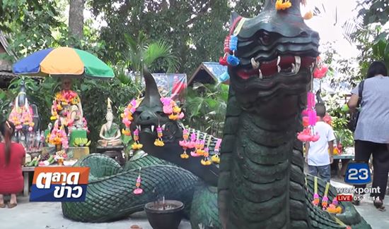 รูปปั้นพญานาคนาคี ผุดขึ้นจากผิวดิน รูปปั้นพญานาคนาคี ผุดขึ้นจากผิวดิน