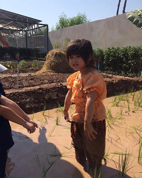 น้องนามรูป ลูกสาวไก่มีสุข น้องนามรูป ลูกสาวไก่มีสุข