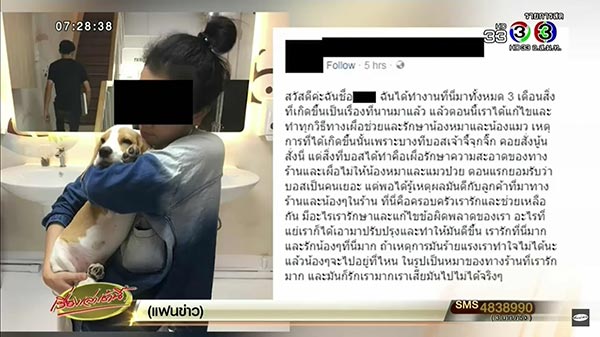 คาเฟ่สัตว์เลี้ยง คาเฟ่สัตว์เลี้ยง