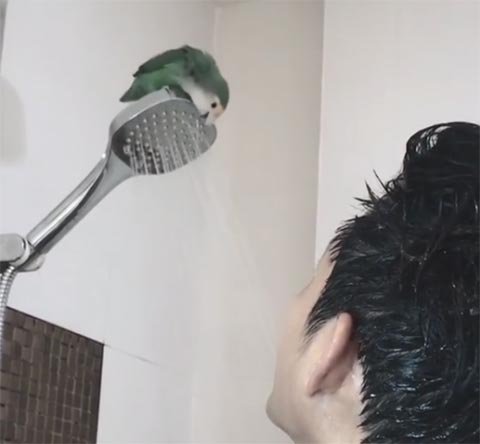 ตู่ ภพธร ตู่ ภพธร
