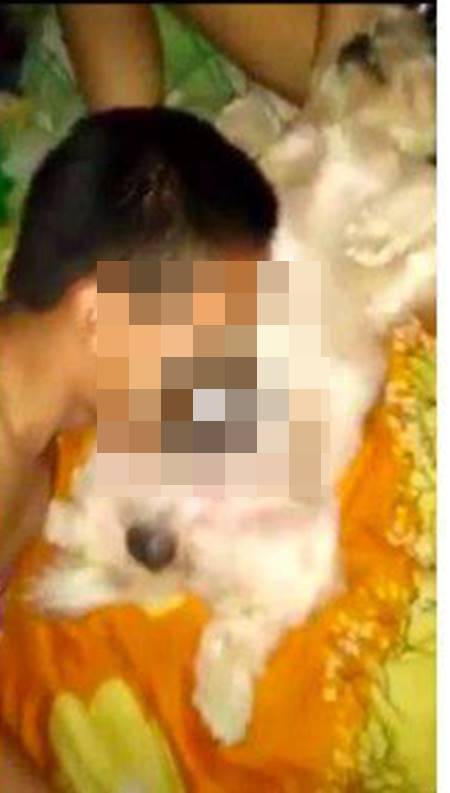 สุดเสื่อม ! โซเชียลประณาม คนอนาจารน้องหมา สุดเสื่อม ! โซเชียลประณาม คนอนาจารน้องหมา