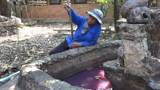 ฮือฮา ! พบบ่อน้ำศักดิ์สิทธิ์ในวัดร้างเมืองโคราช น้ำสีชมพูใส-เชื่อช่วยรักษาโรค ฮือฮา ! พบบ่อน้ำศักดิ์สิทธิ์ในวัดร้างเมืองโคราช น้ำสีชมพูใส-เชื่อช่วยรักษาโรค