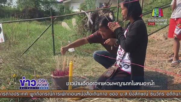 วงแหวนพญานาค วงแหวนพญานาค