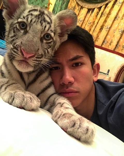 เจ้าชายบรูไนขึ้นแท่นเชื้อพระวงศ์หนุ่มโสดสุดฮอต หลังเจ้าชายแฮร์รี่มีสาวในพระทัยแล้ว เจ้าชายบรูไนขึ้นแท่นเชื้อพระวงศ์หนุ่มโสดสุดฮอต หลังเจ้าชายแฮร์รี่มีสาวในพระทัยแล้ว