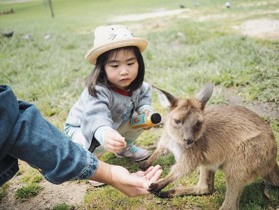 น้องชูใจ น้องชูใจ