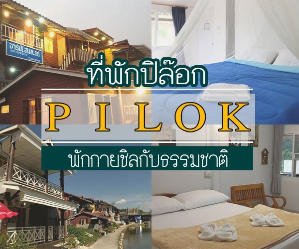 ที่พักปิล๊อก ที่พักปิล๊อก