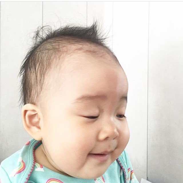 น้องเป่าเปา น้องเป่าเปา
