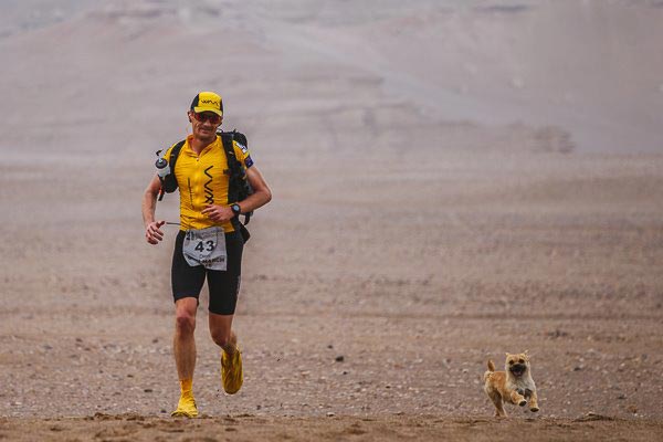 Finding Gobi Finding Gobi