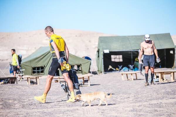 Finding Gobi Finding Gobi