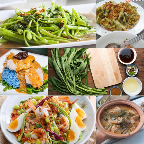 ผักบุ้ง ผักบุ้ง