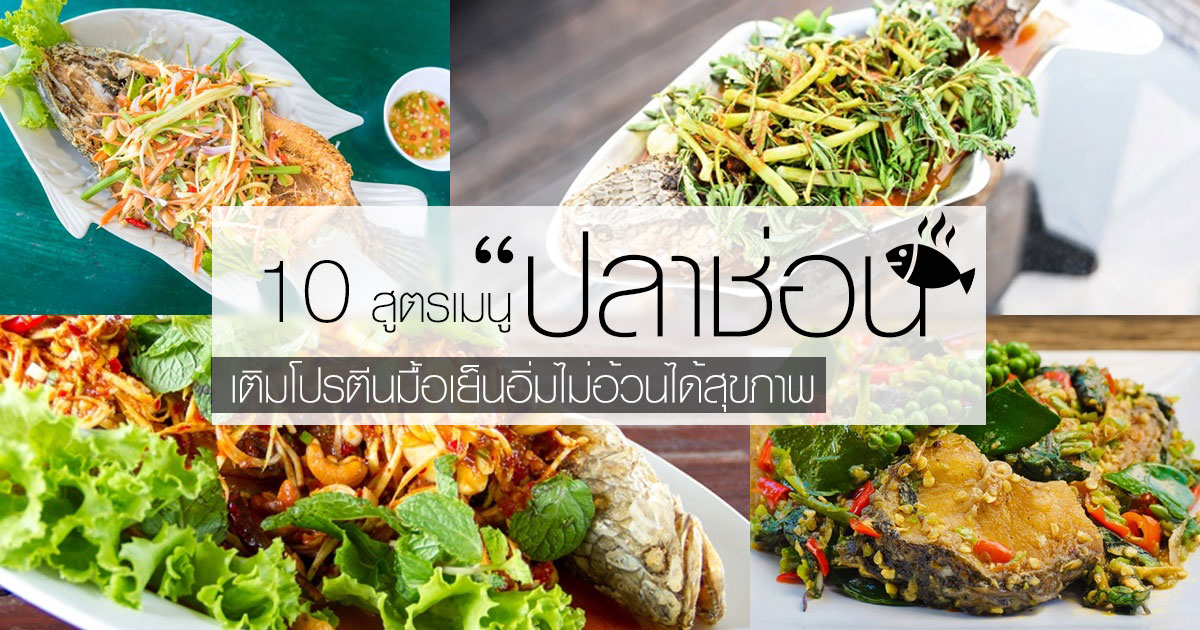 ปลาช่อน ปลาช่อน