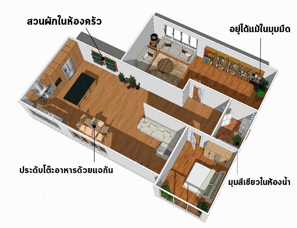 จัดสวนในบ้าน จัดสวนในบ้าน