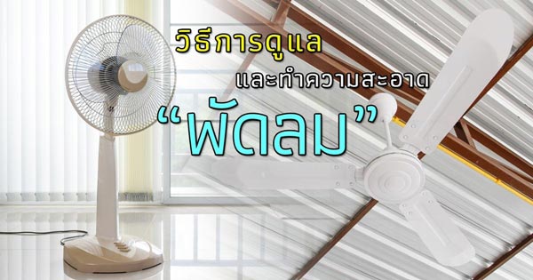 วิธีการดูแลพัดลม วิธีการดูแลพัดลม